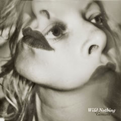 wildnothing-gemini
