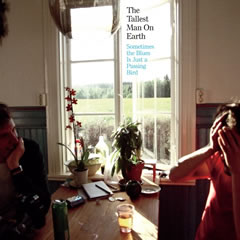 thetallestmanonearth-sometimesthebluesep